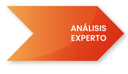 ANALISIS-EXPERTO