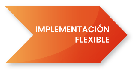 IMPLEMENTACION-FLEXIBLE